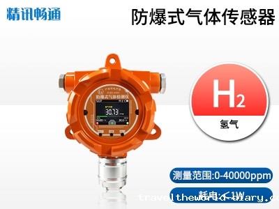 防爆式氢气检测仪
